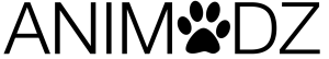 Le Logo Animodz
