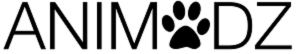 logo_animodz-300x54 (1)